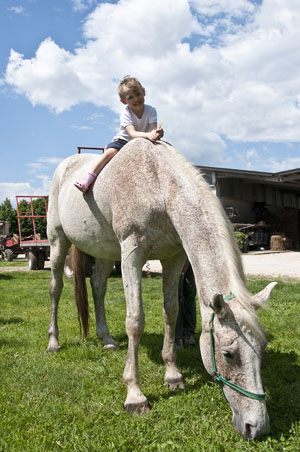 foto il ranch